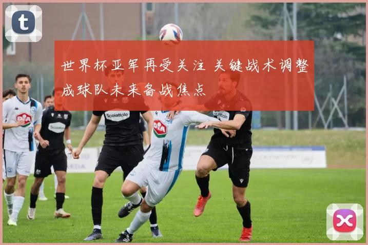 世界杯亚军再受关注 关键战术调整成球队未来备战焦点