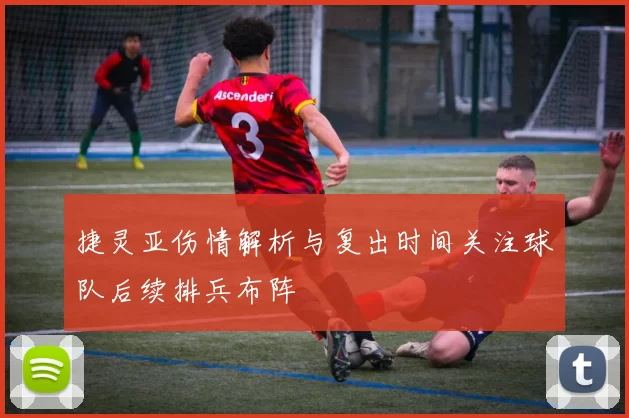 捷灵亚伤情解析与复出时间关注球队后续排兵布阵