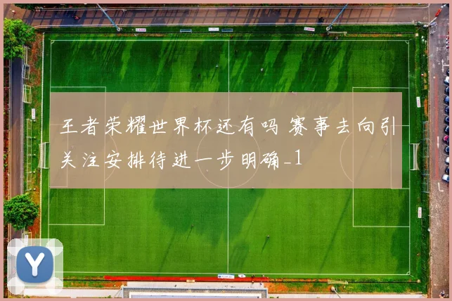 王者荣耀世界杯还有吗 赛事去向引关注安排待进一步明确_1