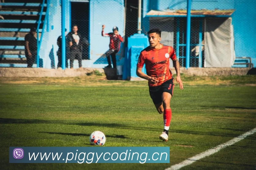 乐竞·体育 - 乐竞online(中国)平台生态图